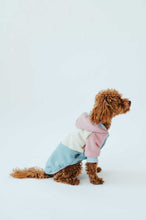 Load image into Gallery viewer, Dog onesie style Vintage on a cute poodle sitting stylishly against a minimalist background.
