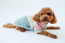 Load image into Gallery viewer, Poodle lounging in a Dog onesie style Vintage, highlighting comfort and style.
