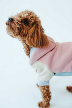 Load image into Gallery viewer, Side view of a poodle in a Dog onesie style Vintage, featuring a playful expression.
